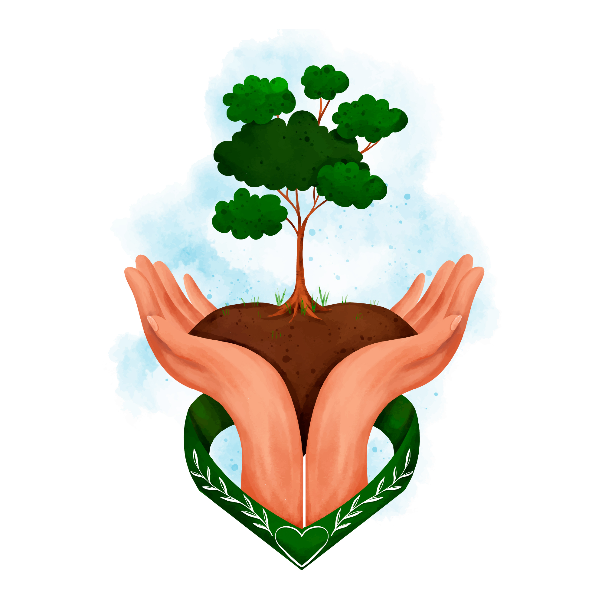 Tree plantation