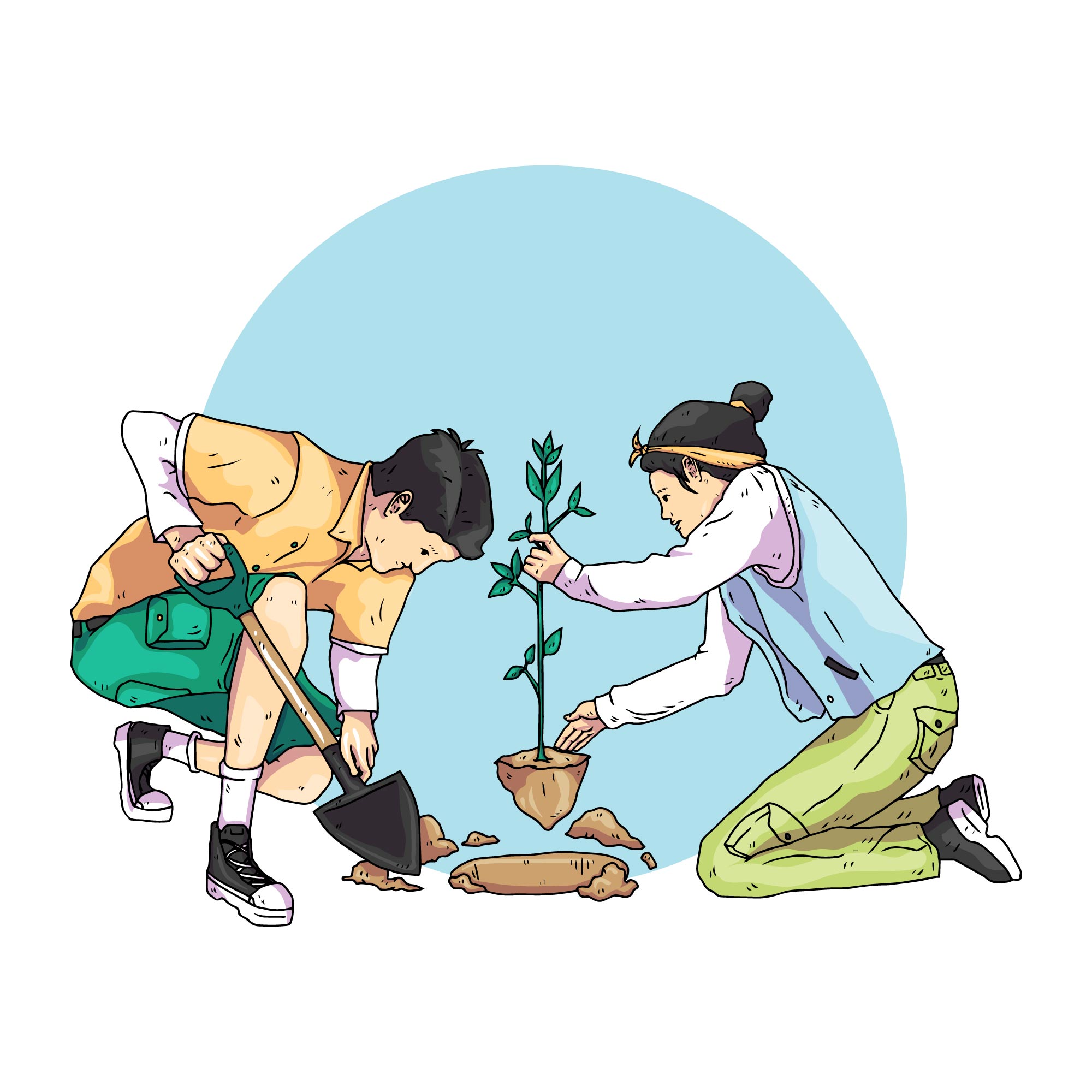 Forest conservation