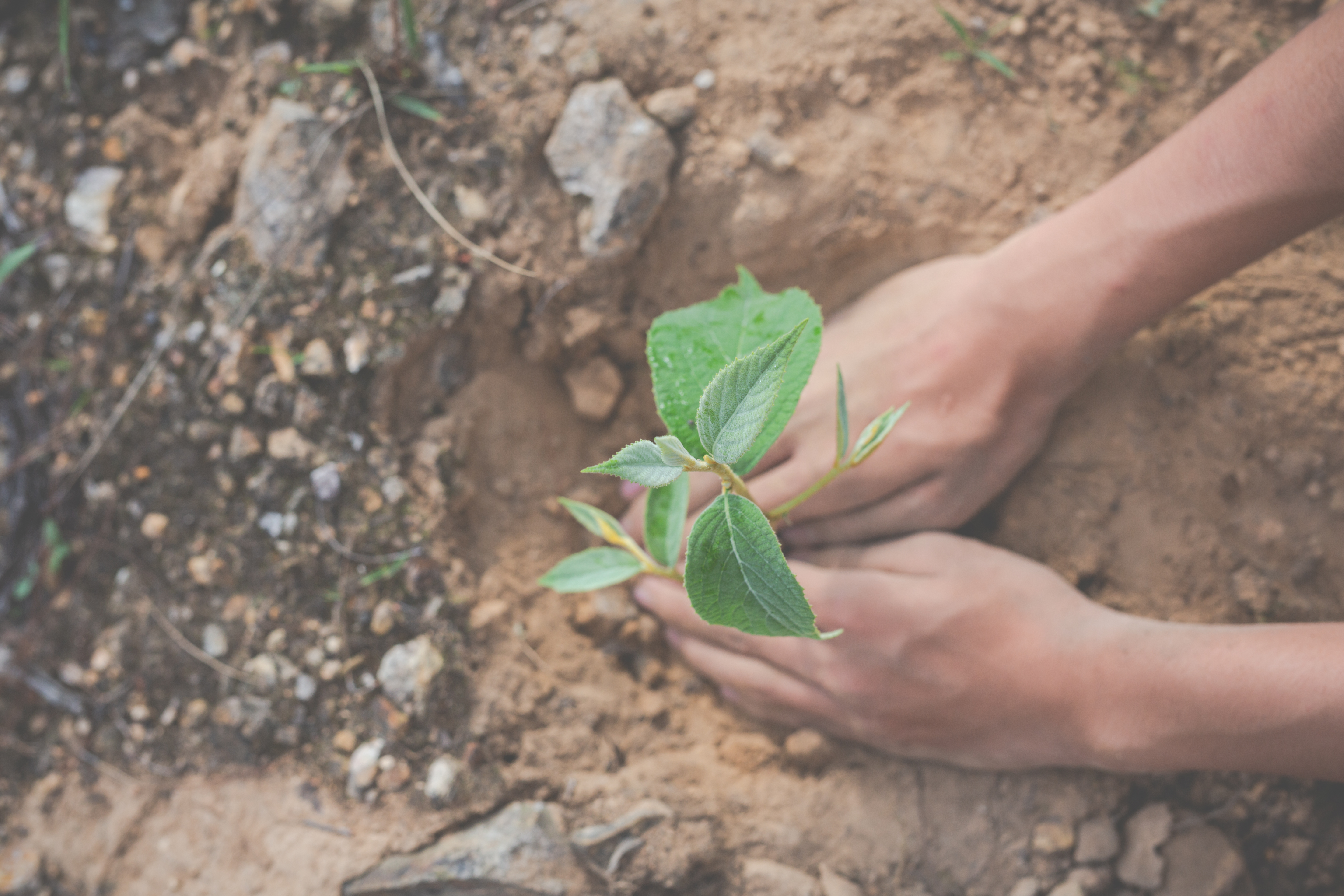 Taking environmental action