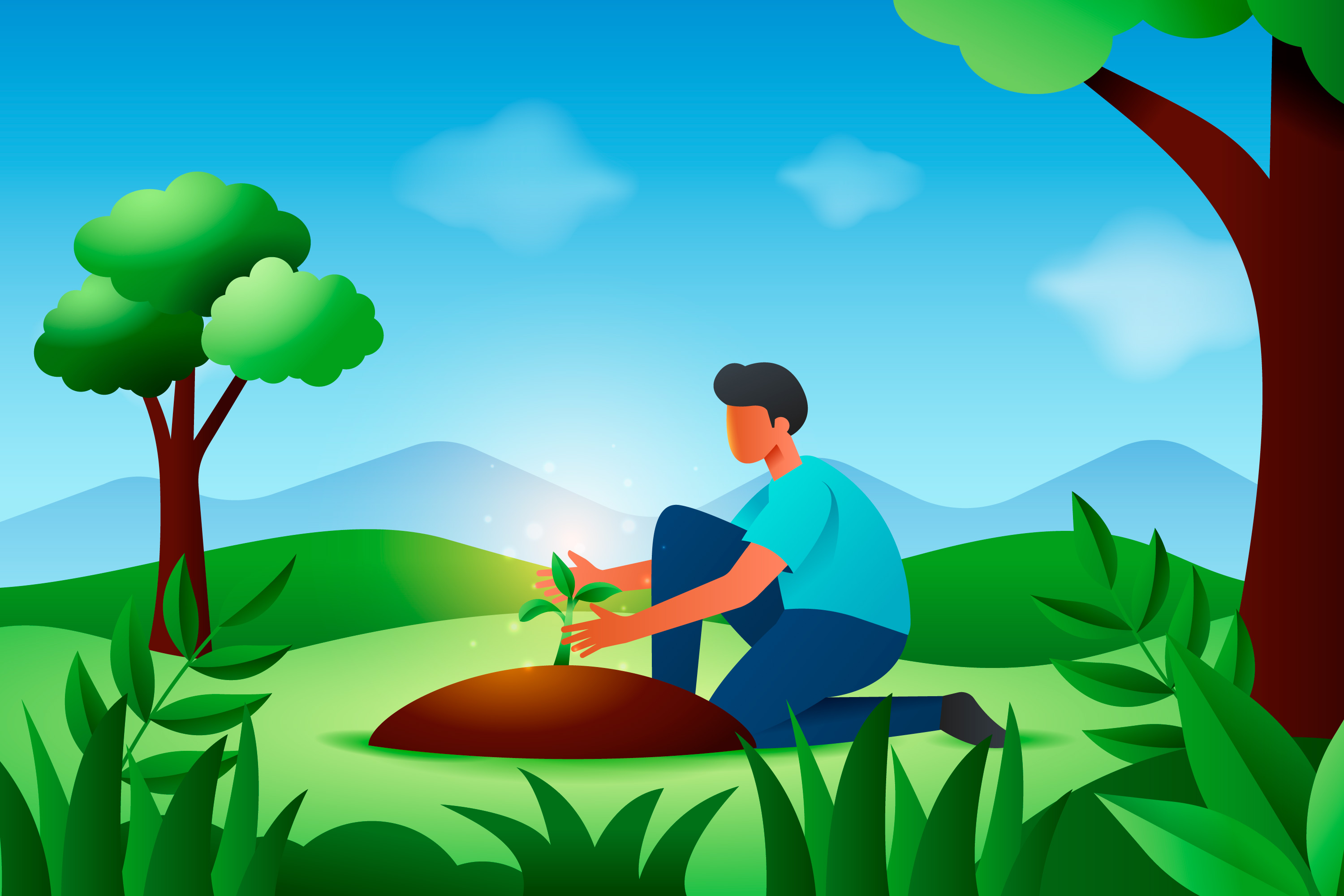 Forest Restoration