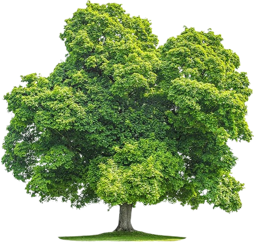 Environmental impact